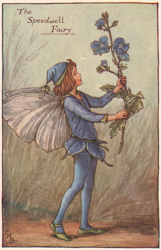 Speedwell Fairy by Cicely Mary Barker. Spring Flower Fairies c1935 old print